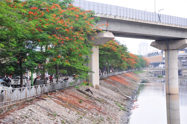 
Sông Tô Lịch đã cải tạo khác xa trước đây với bờ kè đá hai bên.
