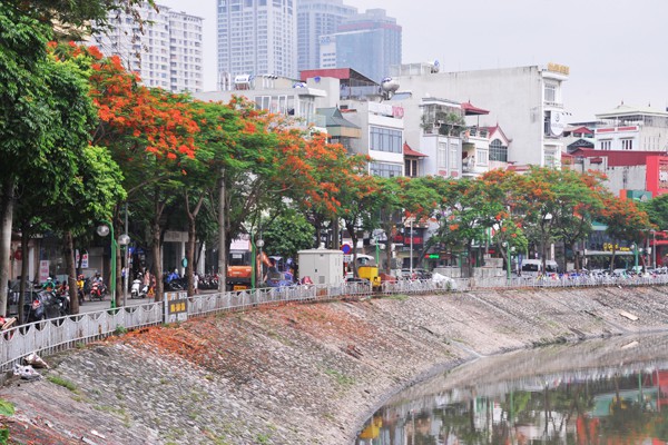 
Sông Tô Lịch như khoác áo mới.
