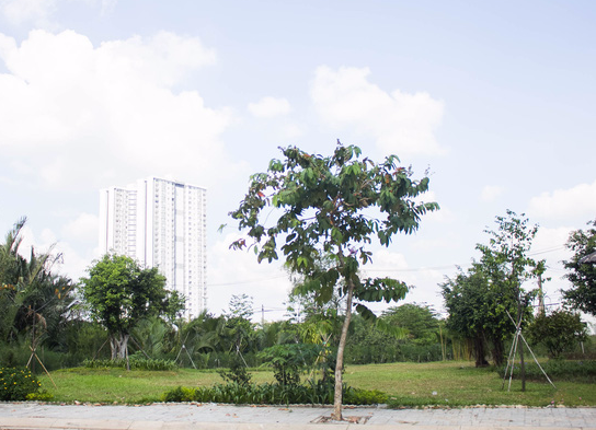 Bên phải ngôi nhà là một mảnh công viên nhỏ. Đây có thể là nơi vui chơi của con trai út của Kim Tử Long.