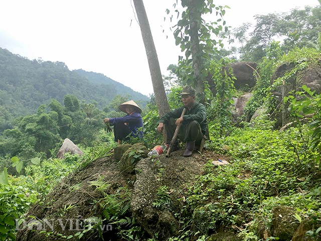 
Những l&uacute;c nghỉ ngơi, anh Tuấn chị Li&ecirc;n lại lặng lẽ ngắm th&agrave;nh quả của m&igrave;nh v&agrave; t&iacute;nh to&aacute;n cho việc mở rộng th&ecirc;m diện t&iacute;ch trồng c&acirc;y sachi.
