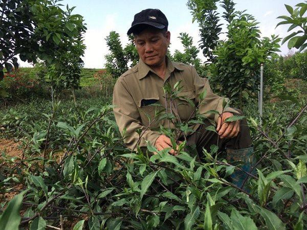 
Từ khi trồng rau muống Nhật Bản, cuộc sống của gia đình ông Dũng ngày càng khá giả.
