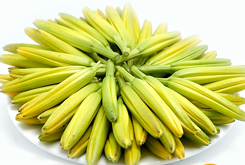 
Hoa kim ch&acirc;m tươi.
