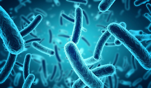 
Tiêu thụ probiotic giúp phục hồi các vi khuẩn có lợi bị mất trong âm đạo.
