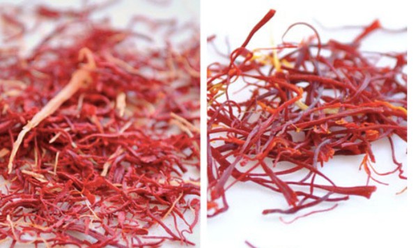 Nhuỵ hoa nghệ tây thật (phải), nhuỵ hoa nghệ tây giả (trái)