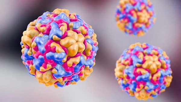 
Virus cảm lạnh được giao nhiệm vụ quan trọng trong cuộc chiến chống ung thư
