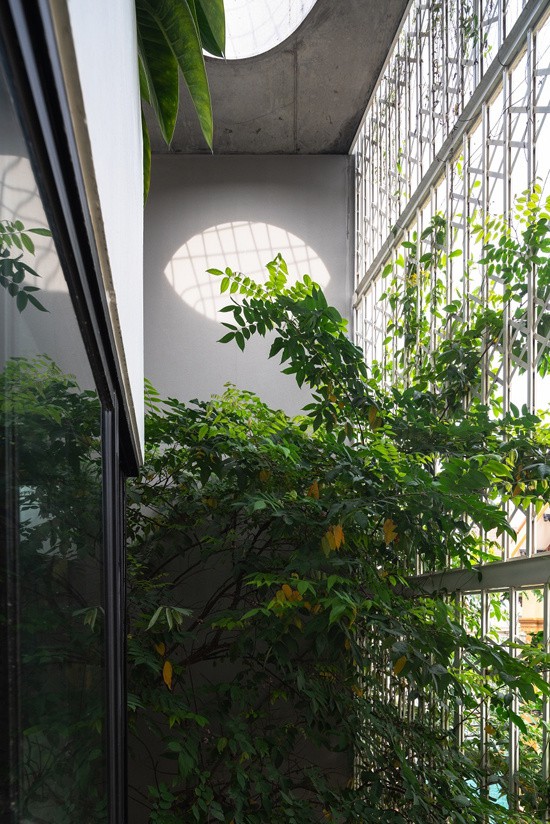 Đằng sau hệ cửa xếp là khoảng thông tầng, tạo điều kiện cho chủ nhà làm sân vườn. Nhờ khoảng lùi này, sự riêng tư của ngôi nhà được tăng cao hơn đồng ánh sáng và không khí tự nhiên vẫn dễ dàng thâm nhập vào trong.