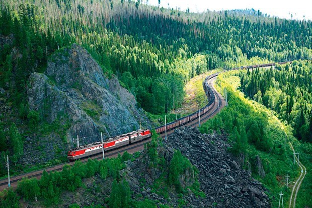 Bị trả về trung tâm kinh doanh thú cưng, chú chó nhảy khỏi tàu và băng rừng hơn 200km trở về với người chủ đã từ bỏ mình - Ảnh 2.