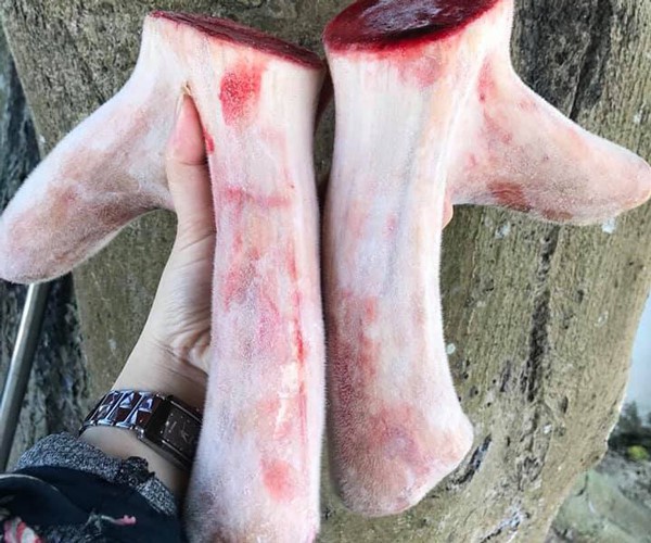 
Nhung hươu gi&aacute; cả chục triệu đồng 1 cặp vẫn đắt h&agrave;ng.
