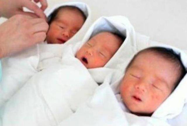Quan hệ lén lút, người mẹ sinh ba nhưng 3 con của 2 bố - Ảnh 1. Quan hệ lén lút, người mẹ sinh ba nhưng 3 con của 2 bố - Ảnh 1.
