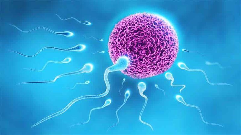 Biểu hiện tinh trùng yếu và cách cải thiện hiệu quả nhất - Ảnh 1.