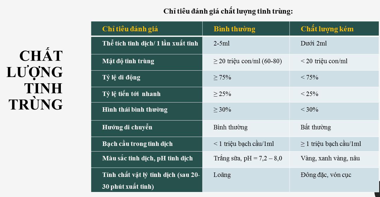 Biểu hiện tinh trùng yếu và cách cải thiện hiệu quả nhất - Ảnh 2.