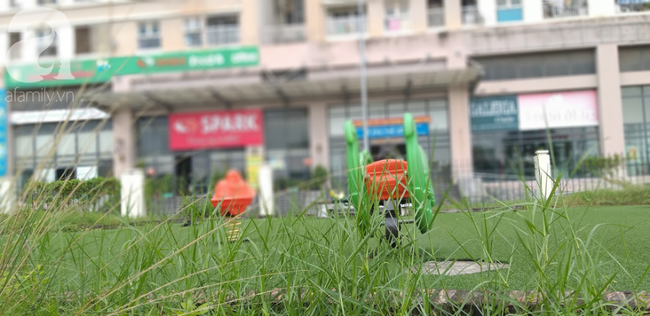 Cận cảnh bẫy rắn hổ mang chúa dài hàng mét, từng tấn công người đi đường tại khu đô thị Hà Nội - Ảnh 3.