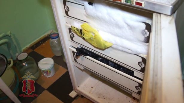 Kinh hãi con trai giết mẹ 83 tuổi rồi chặt từng phần cơ thể giấu trong ngăn đông tủ lạnh - Ảnh 2.