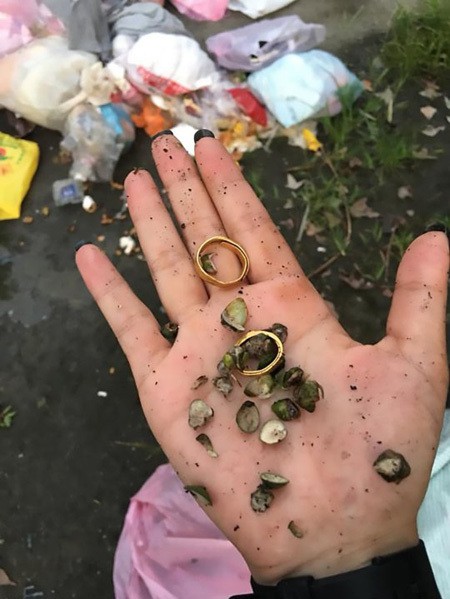 Cô gái trẻ lục 4 tấn rác để tìm lại nhẫn vàng - Ảnh 1.