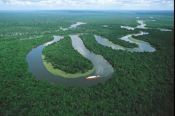 Ngất ngây trước hình ảnh đẹp mê hồn của rừng rậm Amazon trước khi bị cháy lớn  - Ảnh 10.