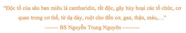 Loài sâu ban miêu mà người dân đổ xô săn bắt bán sang Trung Quốc nguy hiểm thế nào? - Ảnh 2.