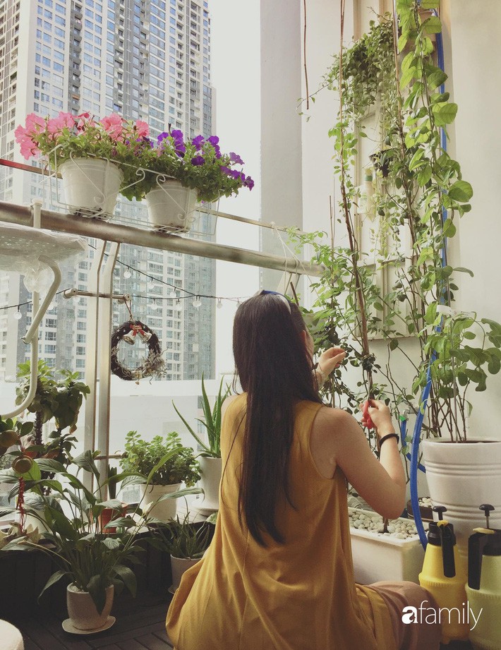 Từ khoảng ban công trống trơn, mẹ trẻ khéo tay decor thành khu vườn xanh ngập tràn hoa hồng ở TP. HCM - Ảnh 5. Từ khoảng ban công trống trơn, mẹ trẻ khéo tay decor thành khu vườn xanh ngập tràn hoa hồng ở TP. HCM - Ảnh 5.