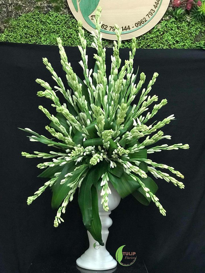 Top 143+ cắm hoa huệ trắng