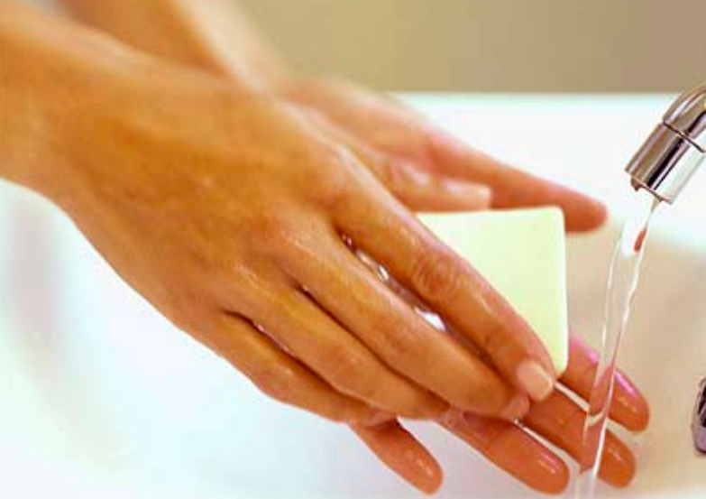 Khuẩn E.Coli khiến người ngộ độc thực phẩm nguy hiểm ra sao? - Ảnh 1. Khuẩn E.Coli khiến người ngộ độc thực phẩm nguy hiểm ra sao? - Ảnh 1.