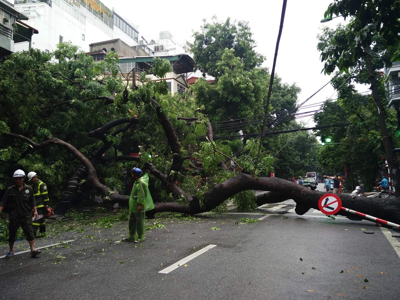 Hà Nội: Cây xà cừ cổ thụ bật gốc, cành cây đập vào 4 căn nhà, 1 chiếc taxi lúc rạng sáng - Ảnh 1. Hà Nội: Cây xà cừ cổ thụ bật gốc, cành cây đập vào 4 căn nhà, 1 chiếc taxi lúc rạng sáng - Ảnh 1.