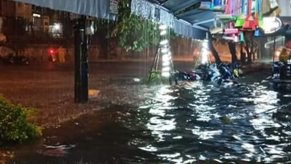 Hà Nội: Cây xà cừ cổ thụ bật gốc, cành cây đập vào 4 căn nhà, 1 chiếc taxi lúc rạng sáng - Ảnh 6. Hà Nội: Cây xà cừ cổ thụ bật gốc, cành cây đập vào 4 căn nhà, 1 chiếc taxi lúc rạng sáng - Ảnh 6.