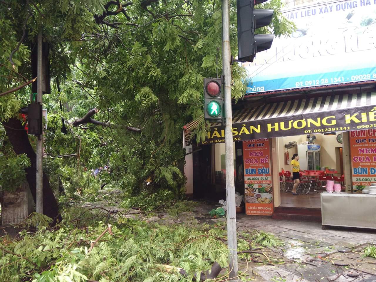 Hà Nội: Cây xà cừ cổ thụ bật gốc, cành cây đập vào 4 căn nhà, 1 chiếc taxi lúc rạng sáng - Ảnh 5. Hà Nội: Cây xà cừ cổ thụ bật gốc, cành cây đập vào 4 căn nhà, 1 chiếc taxi lúc rạng sáng - Ảnh 5.