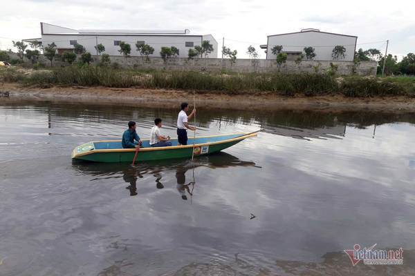 Trưởng thôn ở Hà Tĩnh kể phút tận mắt thấy cá sấu 2m nổi trên sông - Ảnh 3.