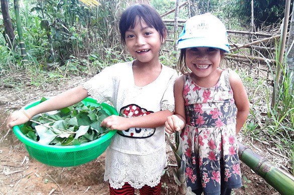 Cô giáo Tắk Pổ: Đi hái rau rừng với cô nào!, học trò đồng thanh: Dạ - Ảnh 2.