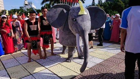 Chú voi con Đắk Lắk lỡ hẹn với vòng nguyệt quế Olympia - Ảnh 2.