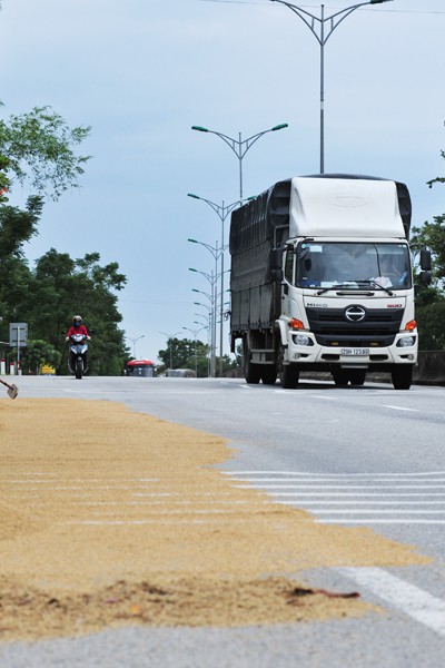 Tiềm ẩn nhiều rủi ro với những điểm phơi thóc trên đường quốc lộ - Ảnh 5.