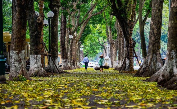 Không khí lạnh tràn xuống, miền Bắc có nơi giảm còn 18 độ C - Ảnh 1.