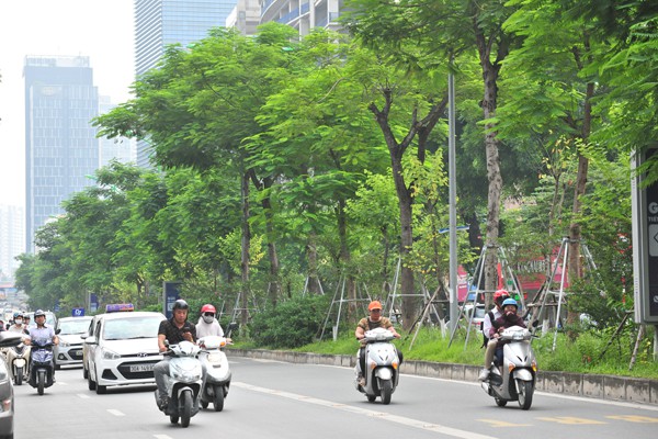 Nhiều đường phố Hà Nội như được khoác áo mới vì được phủ xanh dải phân cách - Ảnh 1.