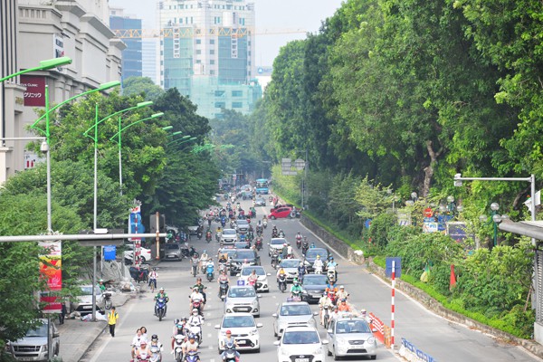 Nhiều đường phố Hà Nội như được khoác áo mới vì được phủ xanh dải phân cách - Ảnh 2.