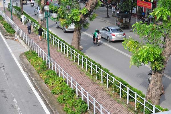 Nhiều đường phố Hà Nội như được khoác áo mới vì được phủ xanh dải phân cách - Ảnh 4.