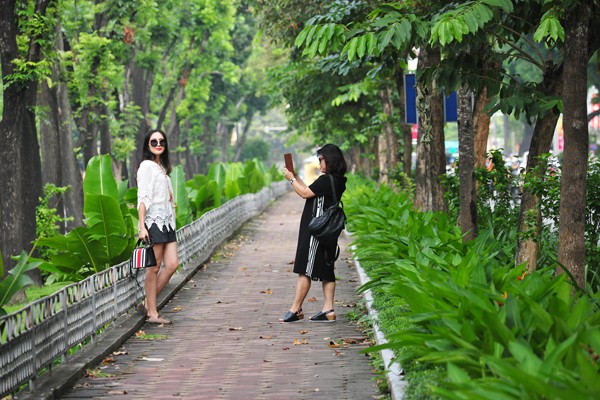 Nhiều đường phố Hà Nội như được khoác áo mới vì được phủ xanh dải phân cách - Ảnh 7.