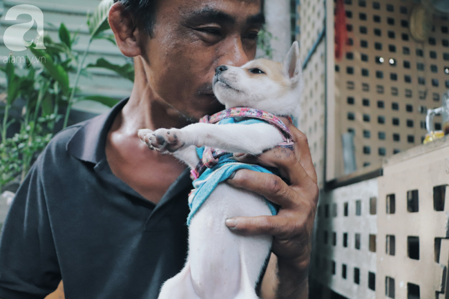 Gặp lại anh đánh giày câm và người bạn từng gây xúc động mạng xã hội: Bích La đã mất, chú chó mù chẳng còn ở bên anh câm nữa... - Ảnh 14. Gặp lại anh đánh giày câm và người bạn từng gây xúc động mạng xã hội: Bích La đã mất, chú chó mù chẳng còn ở bên anh câm nữa... - Ảnh 14.
