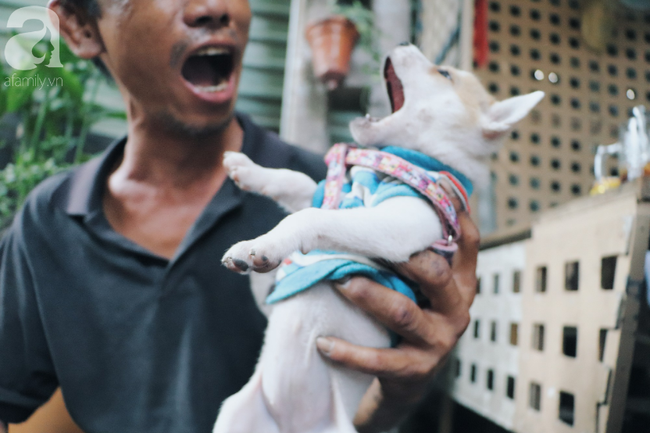 Gặp lại anh đánh giày câm và người bạn từng gây xúc động mạng xã hội: Bích La đã mất, chú chó mù chẳng còn ở bên anh câm nữa... - Ảnh 7. Gặp lại anh đánh giày câm và người bạn từng gây xúc động mạng xã hội: Bích La đã mất, chú chó mù chẳng còn ở bên anh câm nữa... - Ảnh 7.