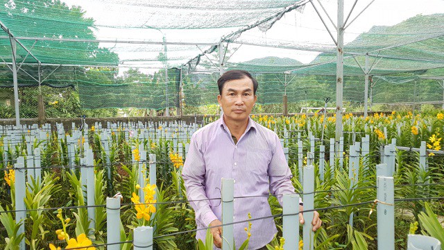 Vườn lan Mokara ở trên núi mang lại 30 triệu đồng/tháng cho anh nông dân Đà thành - Ảnh 1. Vườn lan Mokara ở trên núi mang lại 30 triệu đồng/tháng cho anh nông dân Đà thành - Ảnh 1.