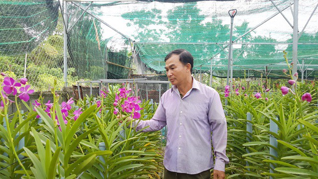 Vườn lan Mokara ở trên núi mang lại 30 triệu đồng/tháng cho anh nông dân Đà thành - Ảnh 2. Vườn lan Mokara ở trên núi mang lại 30 triệu đồng/tháng cho anh nông dân Đà thành - Ảnh 2.