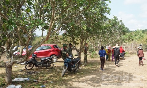 18 ô tô tại hiện trường sới bạc của Hùng sida chưa tìm được chủ - Ảnh 2.