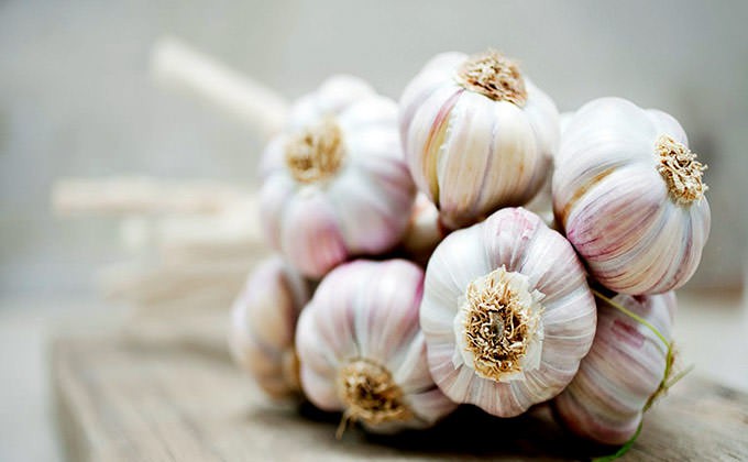 Những thực phẩm có công dụng làm sạch phổi, nên ăn nhiều để phòng tránh ung thư - Ảnh 4. Những thực phẩm có công dụng làm sạch phổi, nên ăn nhiều để phòng tránh ung thư - Ảnh 4.