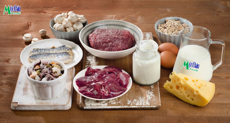3 lưu ý để bổ sung protein đúng cách cho trẻ cao lớn nhanh, học nhớ lâu - Ảnh 2. 3 lưu ý để bổ sung protein đúng cách cho trẻ cao lớn nhanh, học nhớ lâu - Ảnh 2.