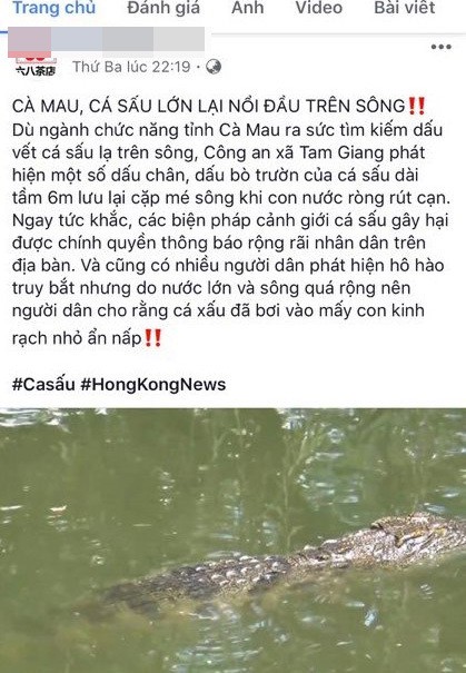 Facebook của quán trà ở Cần Thơ bịa chuyện cá sấu lớn trên sông - Ảnh 1.