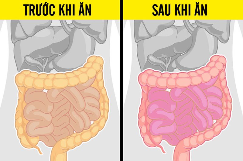 9 tác dụng phụ khi ăn quá nhiều cà chua, điều số 8 nguy hiểm nhất có thể mất mạng - Ảnh 7. 9 tác dụng phụ khi ăn quá nhiều cà chua, điều số 8 nguy hiểm nhất có thể mất mạng - Ảnh 7.