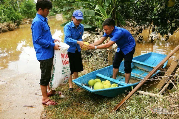 Một ngày bán vạn quả bưởi, cán bộ Hà Tĩnh mướt mồ hôi làm shiper - Ảnh 4.