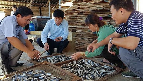 Gom lợn sạch xuất qua biên giới, nhập nầm heo thối Trung Quốc về nhậu - Ảnh 4.