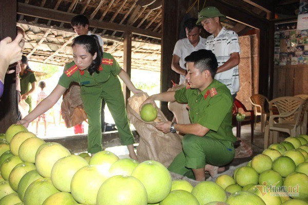 Một ngày bán vạn quả bưởi, cán bộ Hà Tĩnh mướt mồ hôi làm shiper - Ảnh 8.