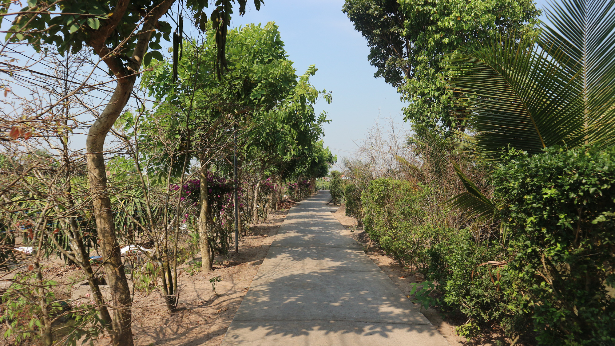 Chuyện hậu cung ít biết của tướng Nguyễn Việt Thành (5): Chồng tướng công an, vợ bán đất cho con chữa bệnh - Ảnh 4. Chuyện hậu cung ít biết của tướng Nguyễn Việt Thành (5): Chồng tướng công an, vợ bán đất cho con chữa bệnh - Ảnh 4.