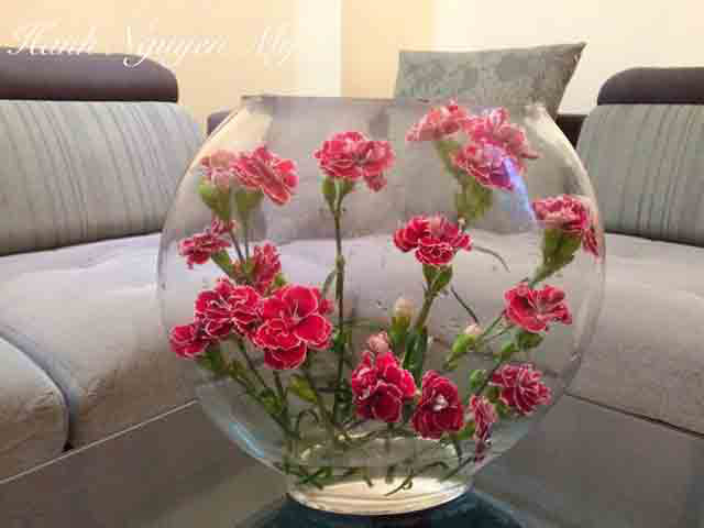 Vừa dễ cắm lại vừa đẹp, hoa cẩm chướng chính là loại hoa không thể thiếu trong ngày Tết - Ảnh 30.