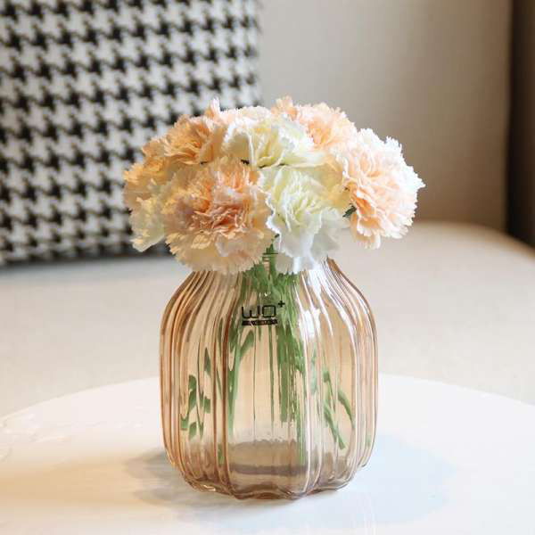 Vừa dễ cắm lại vừa đẹp, hoa cẩm chướng chính là loại hoa không thể thiếu trong ngày Tết - Ảnh 31.